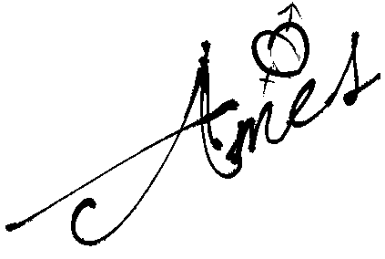 AMES — Amelia Guillén Mansilla